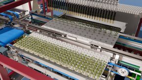 Flex grading and sorting line for young plants