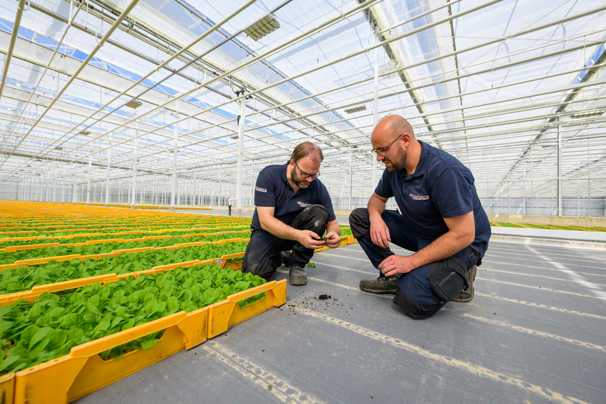 Flier Systems at the Canadian Greenhouse Conference, Oct 8–9 in Niagara Falls. Visit booth 911. Harvesting Resilience.