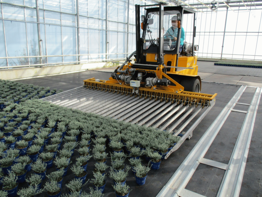 Flier Systems high-end wijderzetsysteem voor potplanten met variabele plantafstand en efficiënte teeltlogistiek.