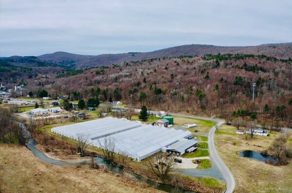 Large scale CEA greenhouse with factory based lettuce production at Berkshire Produce