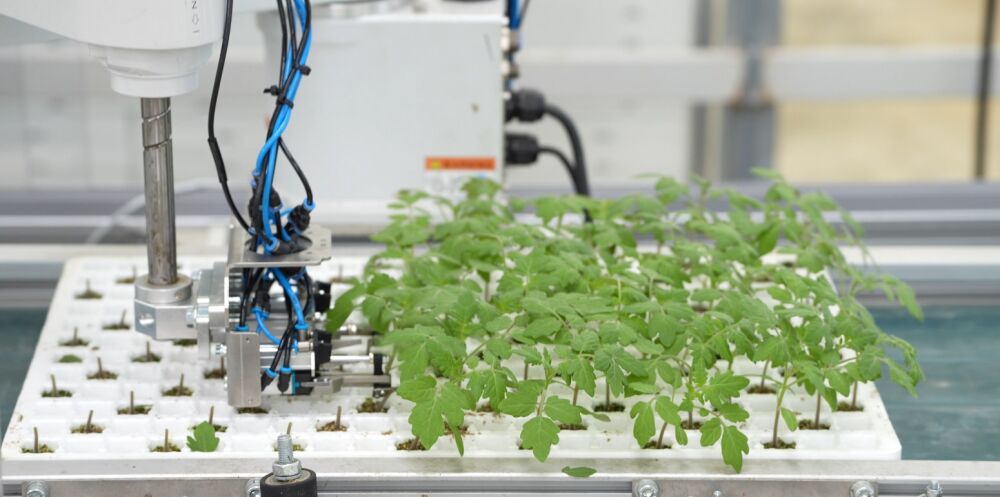 SGA-CutClip werkt een tray plant voor plant af