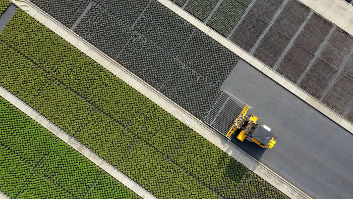 Luchtbeeld van Flier Systems wijderzetsysteem voor potplanten, efficiënte plantafstand en teeltlogistiek in kasomgeving.